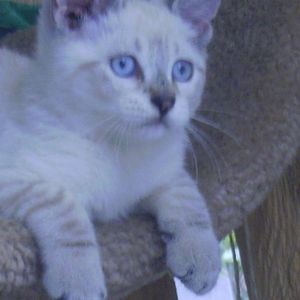 Meet your Posher, Nora